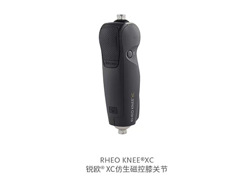 膝關節(jié)